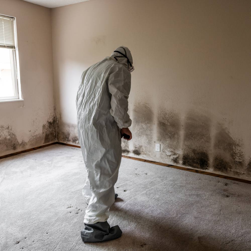 cleaning mold at a client that needs mold remediation in nashville